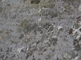 image of grave number 833483
